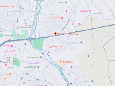 Cabinet vétérinaire Achifaa – Vétérinaire au Maroc