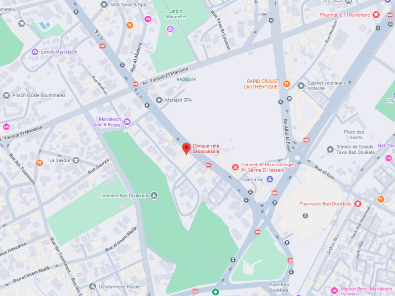Clinique vété babdoukkala – Vétérinaire au Maroc