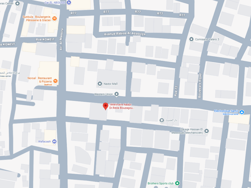 Dr.Reda Bouzagou – Vétérinaire au Maroc