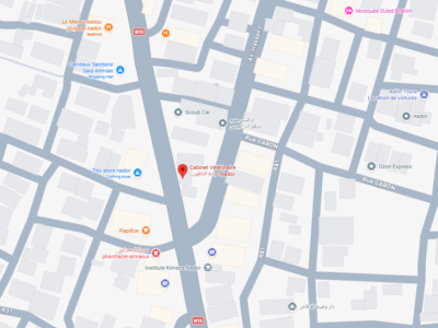 Cabinet Vétérinaire Nador – Vétérinaire au Maroc