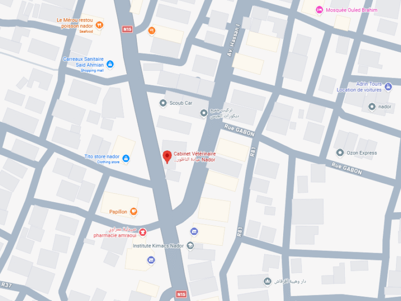 Cabinet Vétérinaire Nador – Vétérinaire au Maroc