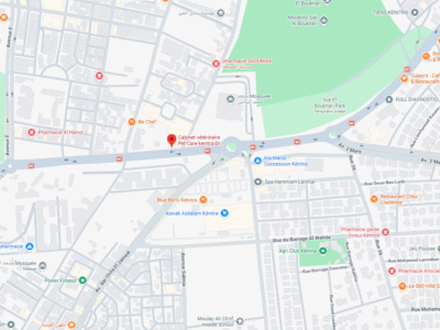 Cabinet vétérinaire Pet Care Dr Chaimaa BOUKHRIS – Vétérinaire au Maroc