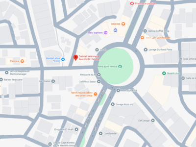 Cabinet Vétérinaire Keni Vet Dr. Fatima Zahraa Zarhouni – Vétérinaire au Maroc