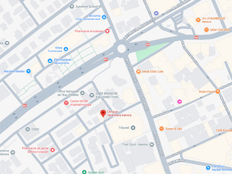 Clinique Vétérinaire Kénitra – Vétérinaire au Maroc