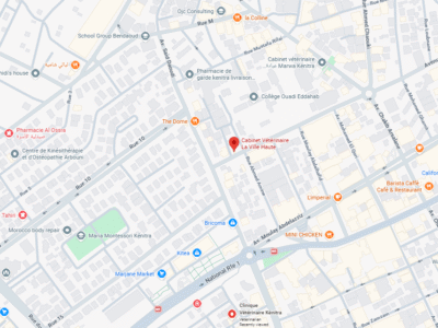 Cabinet Vétérinaire La Ville Haute – Vétérinaire au Maroc
