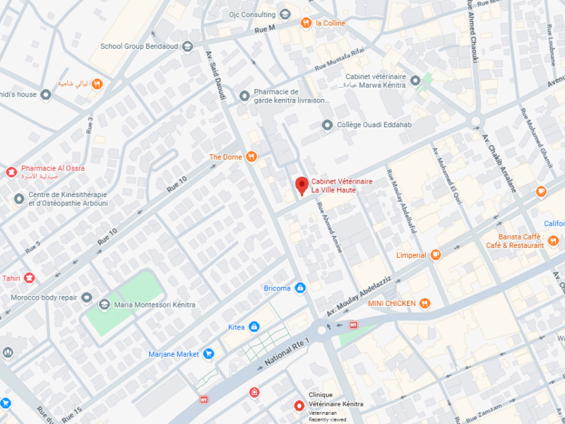 Cabinet Vétérinaire La Ville Haute – Vétérinaire au Maroc