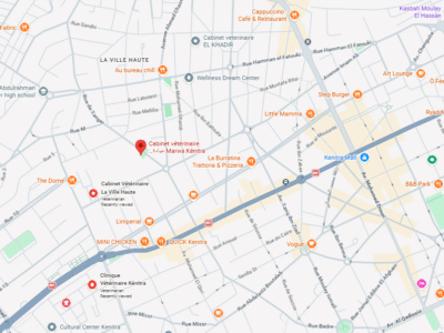 Cabinet vétérinaire Marwa Kénitra – Vétérinaire au Maroc