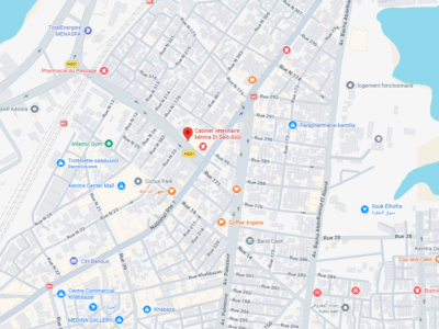 Cabinet véterinaire kénitra Dr.Saib Aziz – Vétérinaire au Maroc