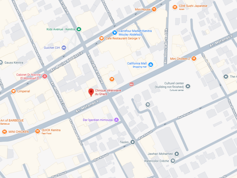Clinique Vétérinaire du Gharb – Vétérinaire au Maroc