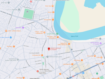 Cabinet veterinaire EL KHADIR – Vétérinaire au Maroc