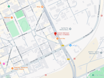 Cabinet Vétérinaire Dr Belakbir – Vétérinaire au Maroc