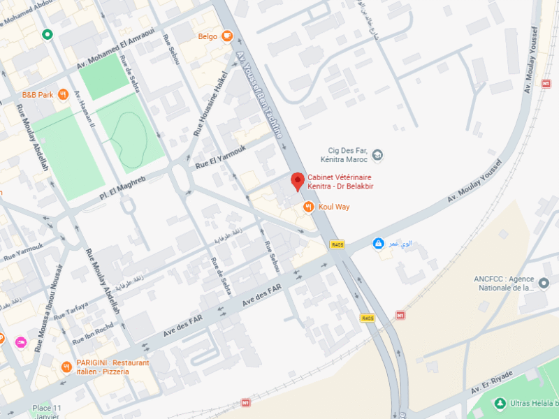Cabinet Vétérinaire Dr Belakbir – Vétérinaire au Maroc