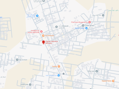 Cabinet vétérinaire Safouane – Vétérinaire au Maroc