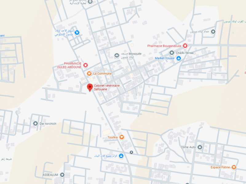 Cabinet vétérinaire Safouane – Vétérinaire au Maroc