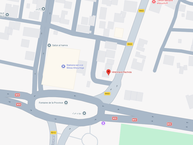 Vétérinaire Rachida – Vétérinaire au Maroc