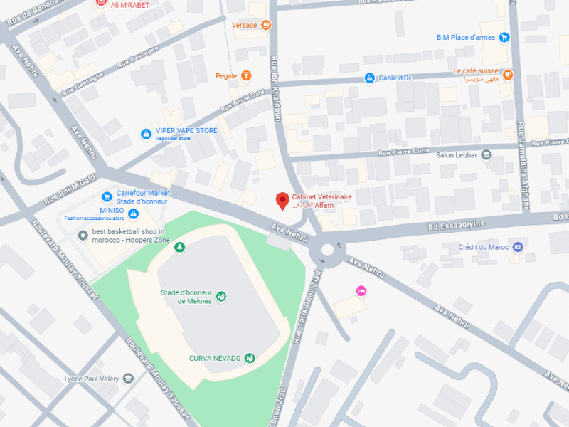 Cabinet Veterinaire Alfath Meknes – Vétérinaire au Maroc