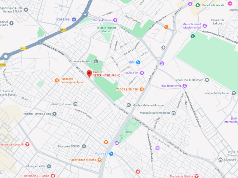 CABINET VETERINAIRE AMINE – Vétérinaire au Maroc