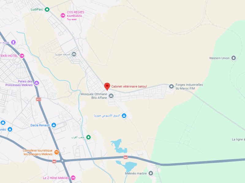 Cabinet vétérinaire batoul – Vétérinaire au Maroc