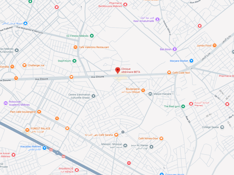 Clinique vétérinaire BETA – Vétérinaire au Maroc