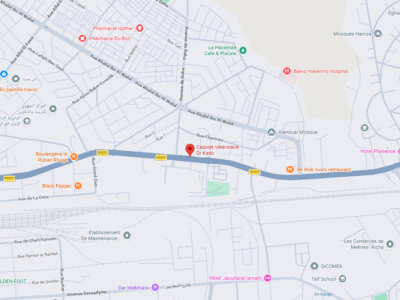 Cabinet Vétérinaire Dr Kadir – Vétérinaire au Maroc