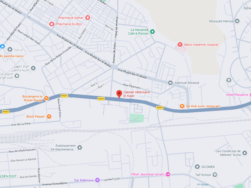 Cabinet Vétérinaire Dr Kadir – Vétérinaire au Maroc
