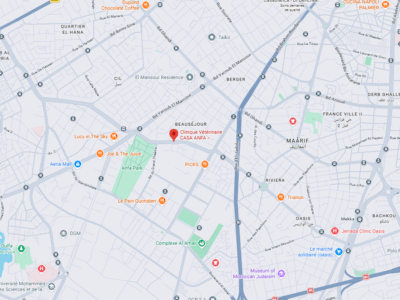 Clinique Vétérinaire CASA ANFA – Vétérinaire au Maroc