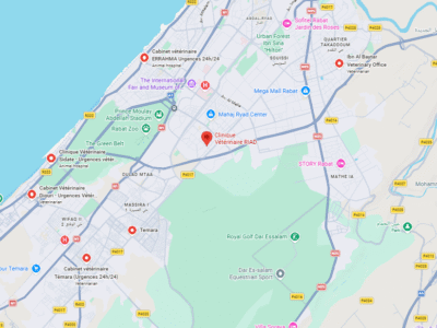Clinique Vétérinaire RIAD – Vétérinaire au Maroc