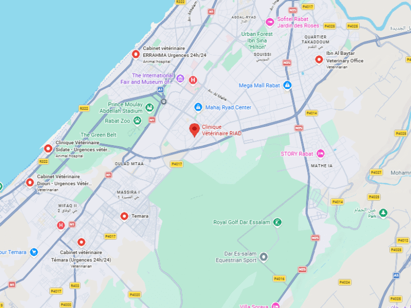 Clinique Vétérinaire RIAD – Vétérinaire au Maroc
