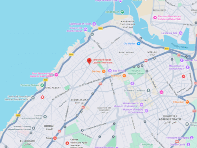 Cabinet vétérinaire GUEDIRA – Vétérinaire au Maroc