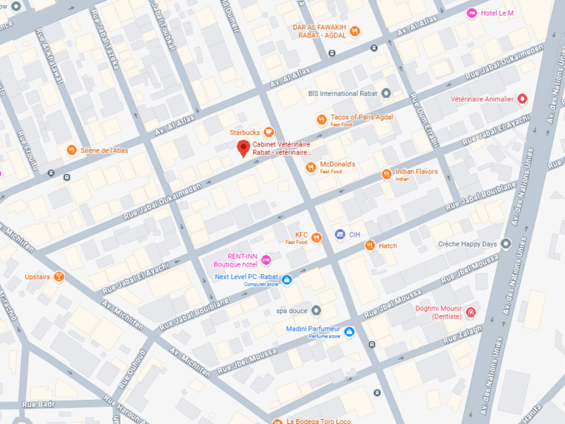 Cabinet Vétérinaire Rabat – Vétérinaire au Maroc