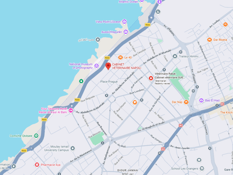 Cabinet Vétérinaire Napoli - Dr Bouasria – Vétérinaire au Maroc