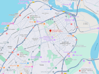 Cabinet Vétérinaire La Capitale - Vétérinaire au Maroc