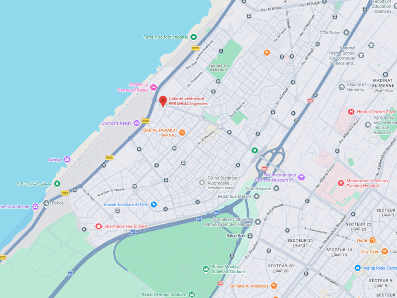 Cabinet vétérinaire ERRAHMA – Vétérinaire au Maroc