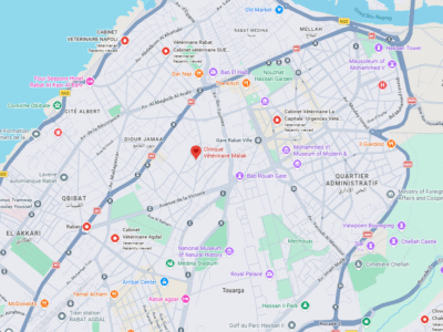 Clinique Vétérinaire Malak – Vétérinaire au Maroc