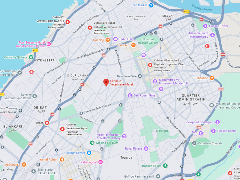 Clinique Vétérinaire Malak – Vétérinaire au Maroc