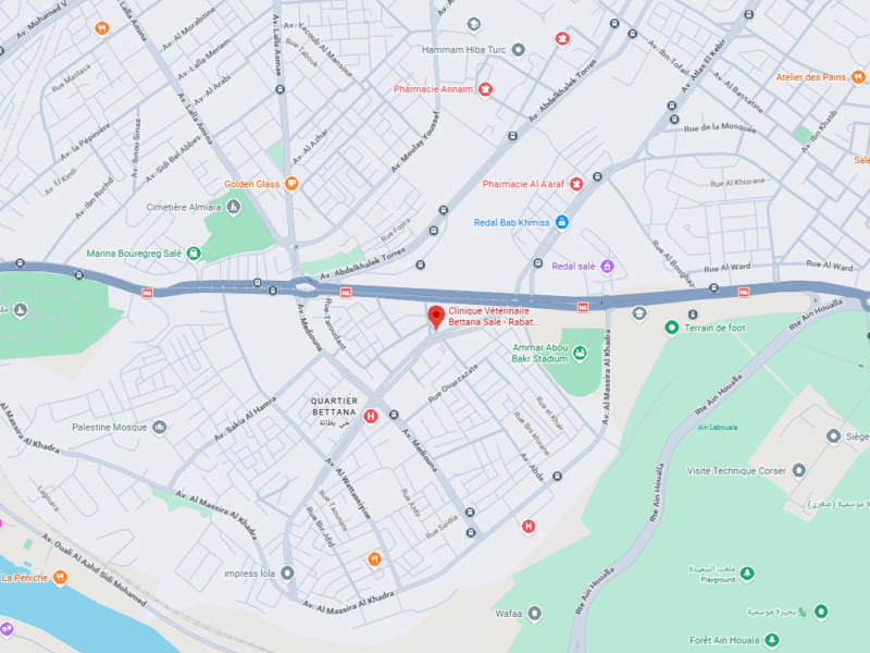 Clinique Vétérinaire Bettana Salé – Vétérinaire au Maroc