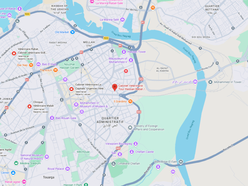 Cabinet Veterinaire Tour Hassan Rabat – Vétérinaire au Maroc