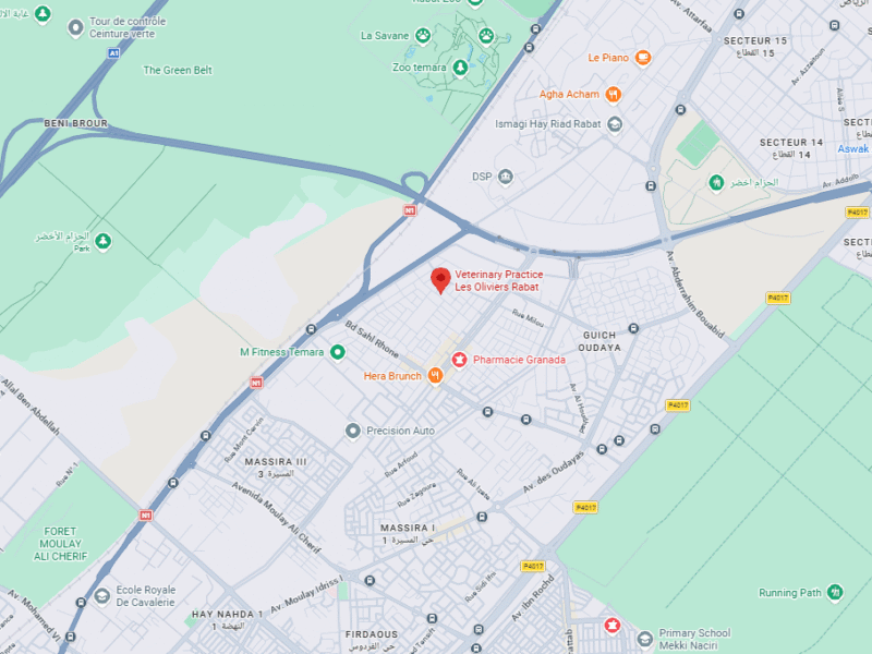 Cabinet Vétérinaire Les Oliviers – Vétérinaire au Maroc
