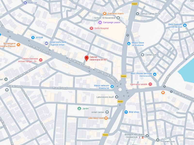 Cabinet Vétérinaire M'VET – Vétérinaire au Maroc