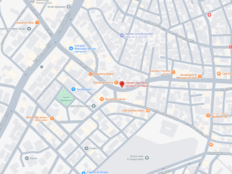 Cabinet Vétérinaire Val Fleuri I Dr Najlae MOUTAOUAKIL – Vétérinaire au Maroc