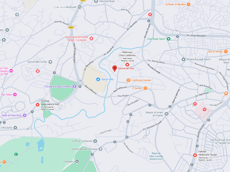 Cabinet Vétérinaire Alto – Vétérinaire au Maroc