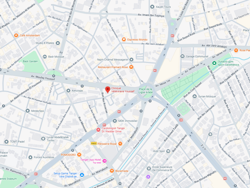 Clinique Vétérinaire Youssef – Vétérinaire au Maroc