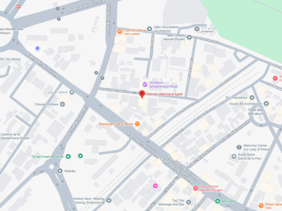 Cabinet Vétérinaire Agdal – Vétérinaire au Maroc