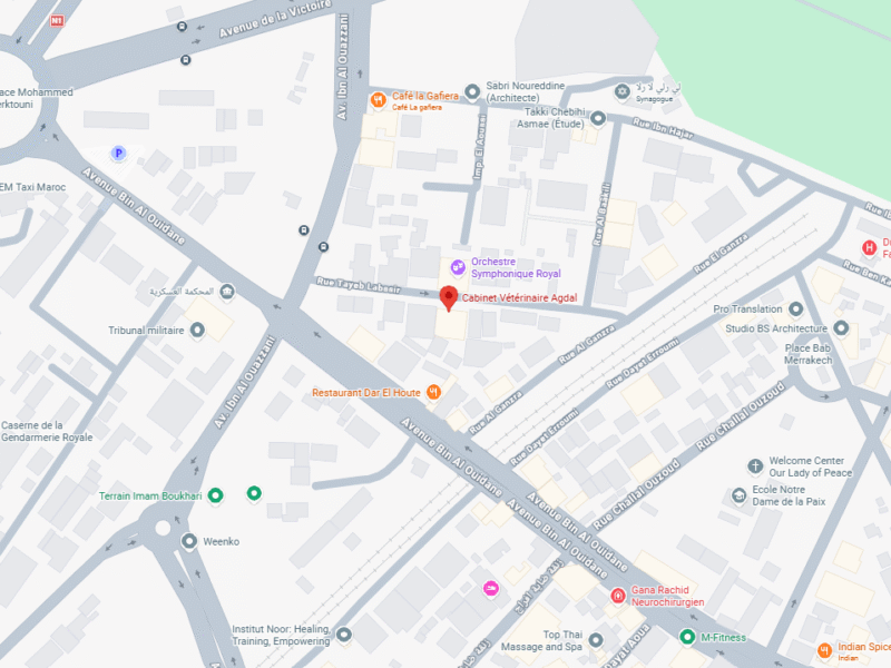 Cabinet Vétérinaire Agdal – Vétérinaire au Maroc