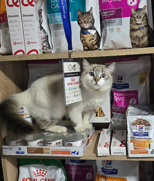 Cabinet Vétérinaire ERRAHMA – Urgences 24h/24 Rabat