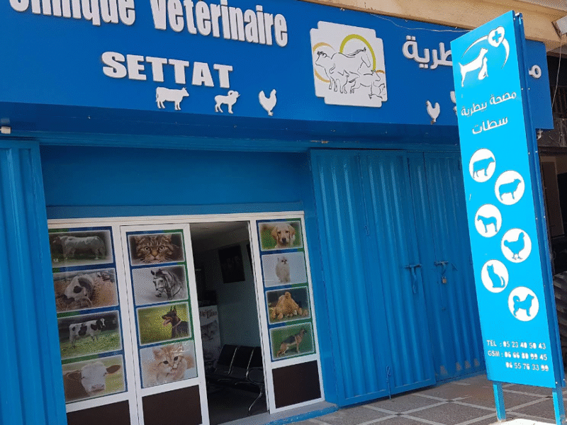 Clinique Vétérinaire Settat – Urgences 24h/24