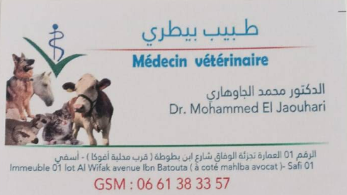 Cabinet Vétérinaire Safi – Dr Mohamed El Jaouhari