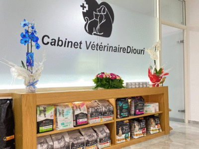 Cabinet Vétérinaire Diouri – Urgences Vétérinaires – Harhoura