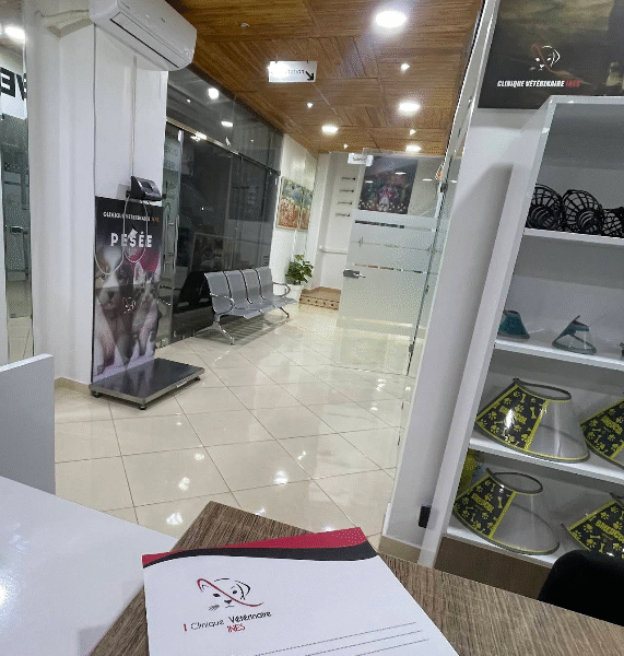 Clinique Vétérinaire Marrakech INES – Urgences 24h/24