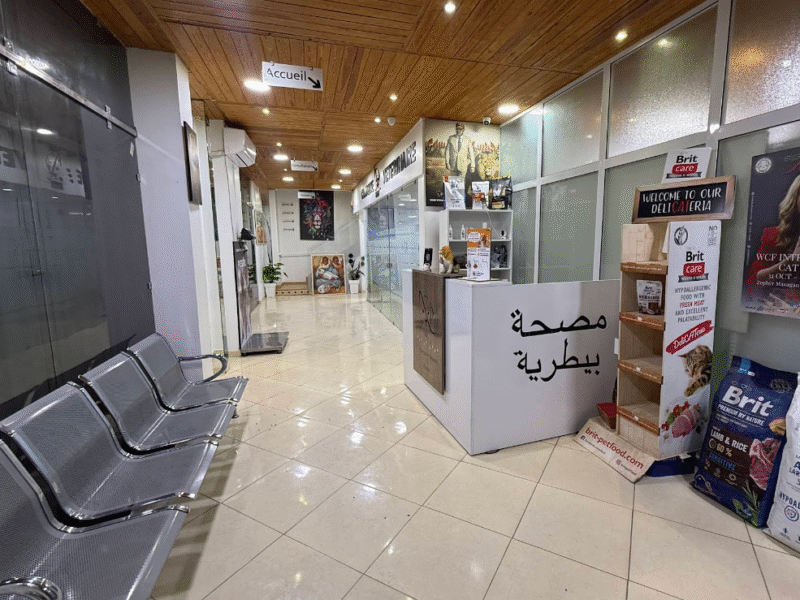 Clinique Vétérinaire Marrakech INES – Urgences 24h/24